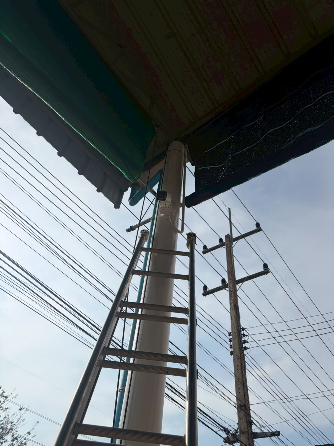 ร้านตังกวย เพ็ทช็อป